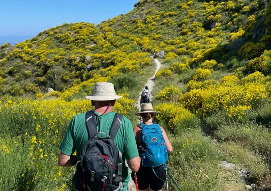 Group of guests hiking up flowery field and hill.