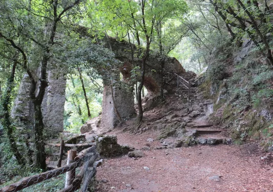 Shot of old, rocky bridge in forest.