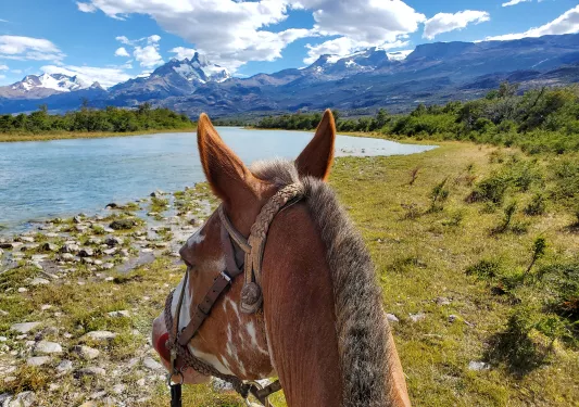 Point of view shot on horseback, looking out to snowy mountains, small lake.