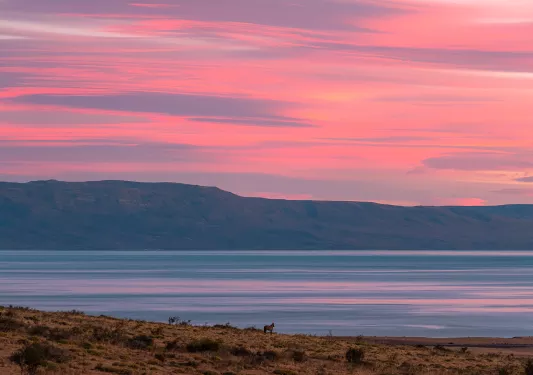 Wide shot of sunset vista, mountain, river, meadow, small horse all visible.