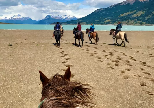 Point of view shot of guests on horseback, heading towards beach.