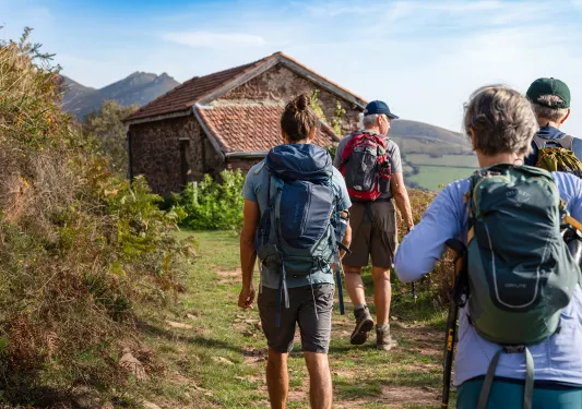 Four Backroads Guests Walking