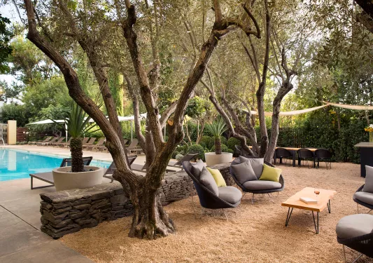 The grounds at Hotel Healdsburg