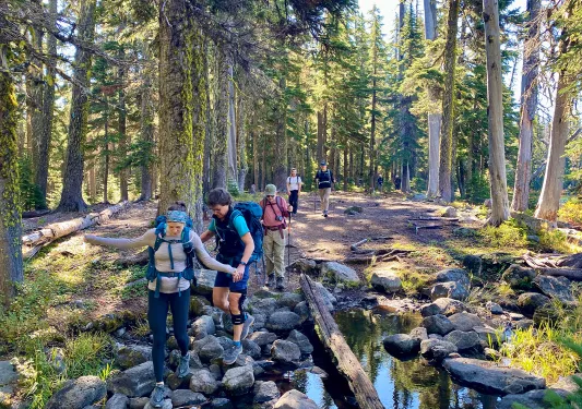 Five guests hiking through forest, two walking over small stream.
