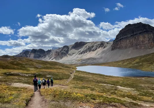 Group of guests walking among golden meadow trail, large hills in distance.