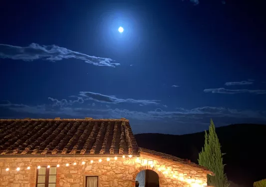 Small brick house, blue night sky and moon in background.