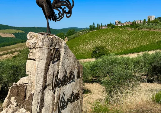 Shot of vineyard sign in Chianti, metal rooster on top.