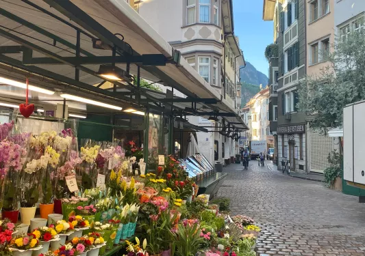 Shot of Italian town, brick road, flower shop in foreground. 