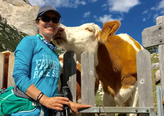 Guest at farm, cow licking her cheek.