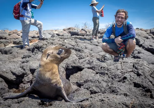 Guests Sea Lion on Rocks