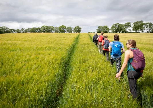 Backroads guests hiking in grassy field.