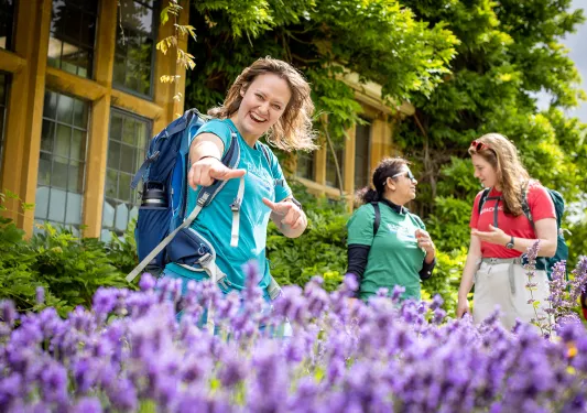 Guests Lupine England