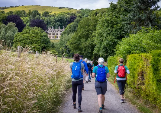Walking Hedges England