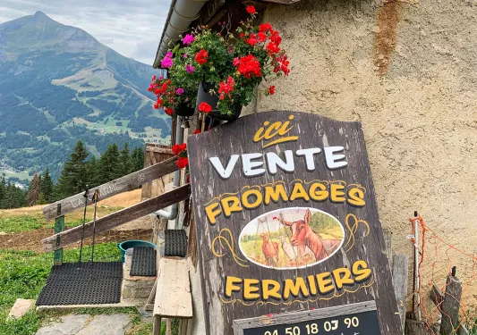 Shot of small goat cheese shop on hillside.