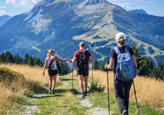 Three guests walking down meadow trail, marge mountain in background.