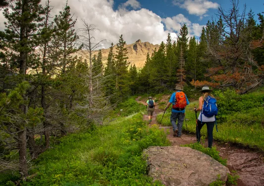 Backroads guests hiking through mountain pass