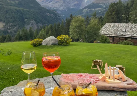Assortment of drinks, hors d'oeuvres overlooking mountain vista.