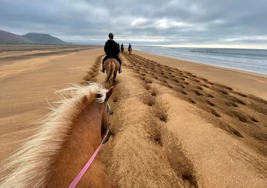 POV Icelandic Horse Trail Iceland