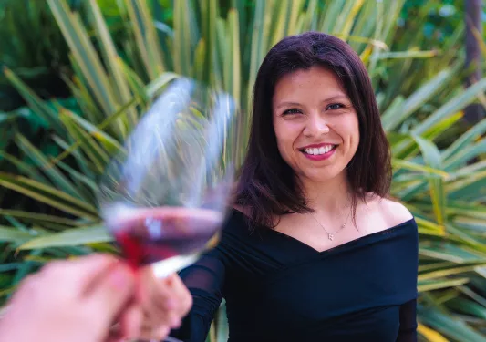 POV shot of guests cheersing wine glasses.