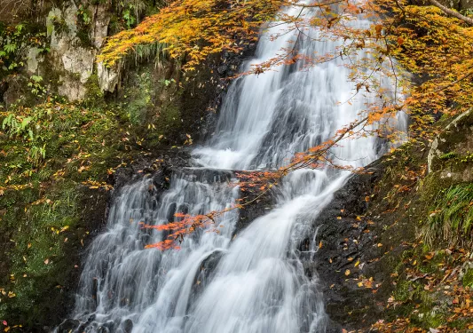 Waterfall flowing in a valley in Japan in the fall