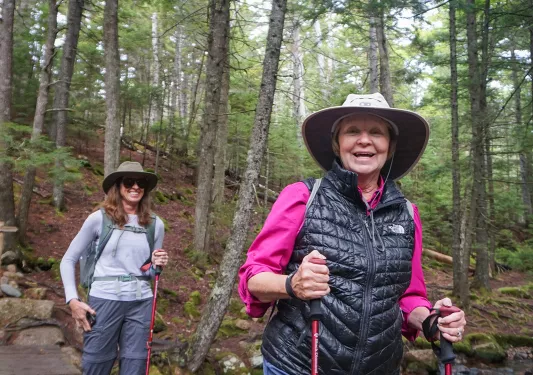 Two guests hiking over thin forest bridge.