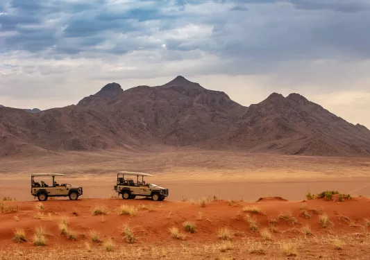 Jeeps on safari in Africa