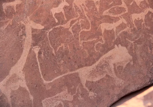 Cave drawings mostly of animals