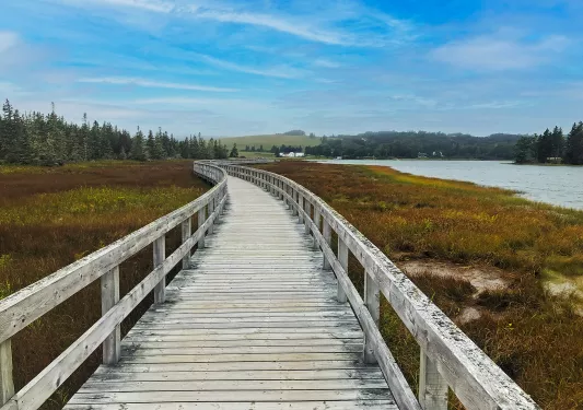 Point of view shot of wooden beach bridge.