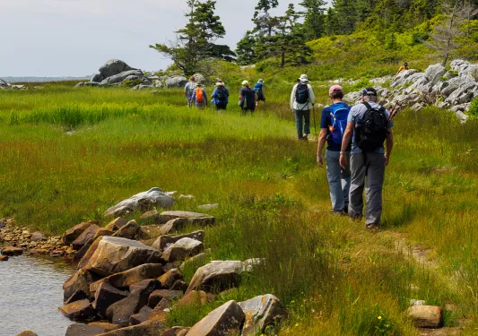 Group of guests walking along meadow trail, forest to right, small pond to left.