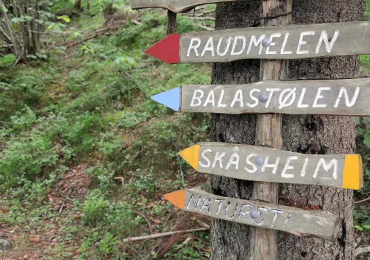 Trail signs with Norwegian writing on them