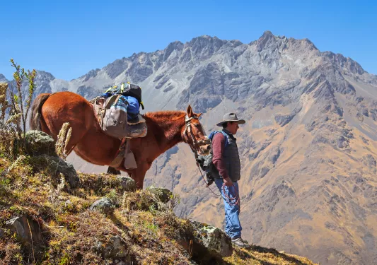 Guest with horse on mountainside.