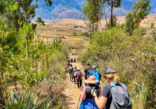 Group of guests walking down desert trail, cacti and shrubbery all around them.