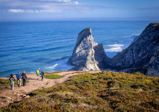 Guests on hilltop walking towards rocky coastline.