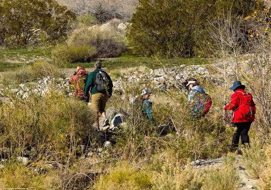 Guests hiking in desert, snowy mountain far in background.
