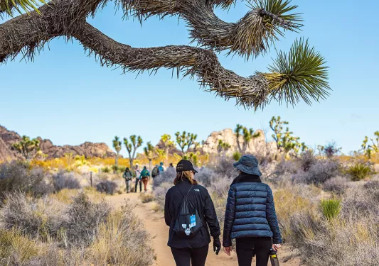 Guests on desert trail, yucca trees in foreground & background.