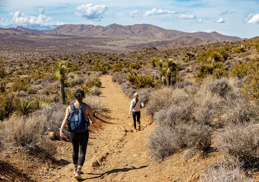 Two guests hiking on desert trail, vast desert landscape all around.