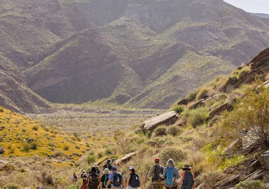 Guests hiking in desert valley, blue sky and mountain in background.