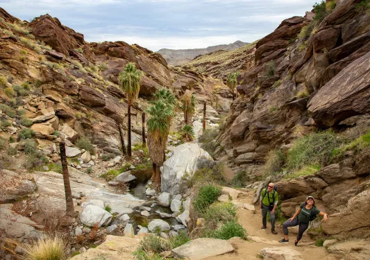 Two guests in desert valley, small stream running beside them.