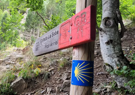 Close-up of trail marker.