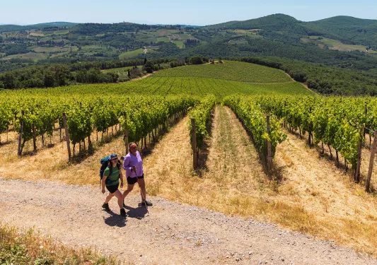 Two guests walking past vineyard, Italian hillside in background.