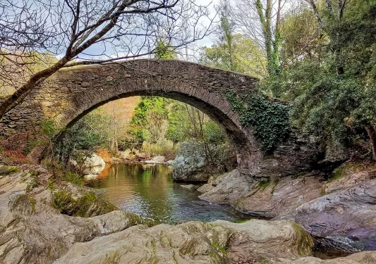 Shot of river, stone bridge, trees above.