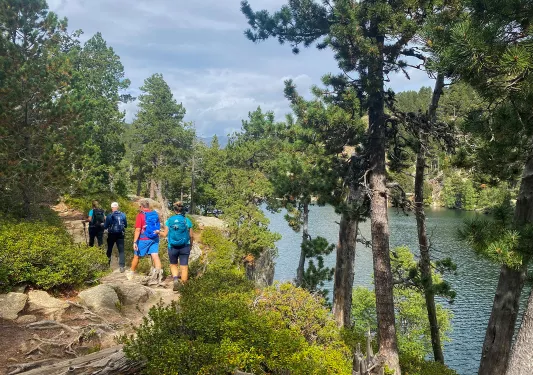 Four guests on riverside trail, trees all around.