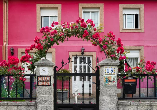 Housefront shot of bright pink building, flower arch, metal fence.