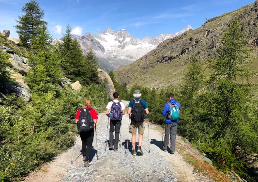 Four guests on gravel trail, trees, mountains in distance. 