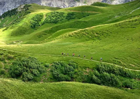 Side shot of guests walking on hilly meadow, mountains in distance. 