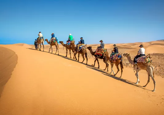 Row of travelers on dromedaries walking along sand dune