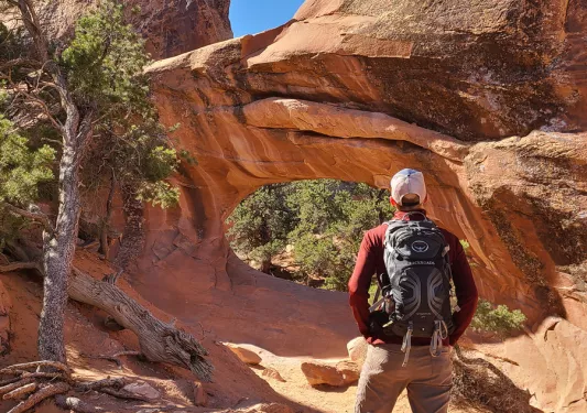 Guest looking arch formations
