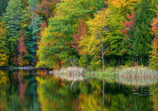Shot of reflective lake, fall colored trees.