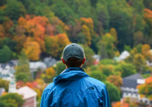 Rear shot of guest overlooking distant forest town.