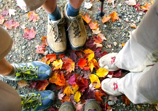 Point of view shot of four guest's feet/shoes, fall leaves.